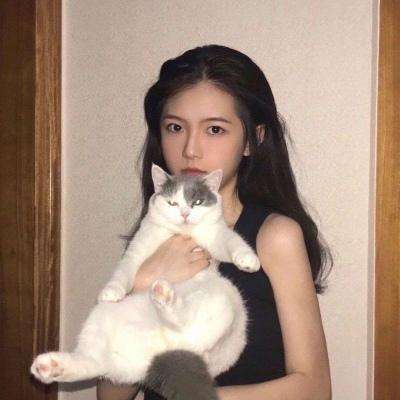 晴天小狗2最新版本下载